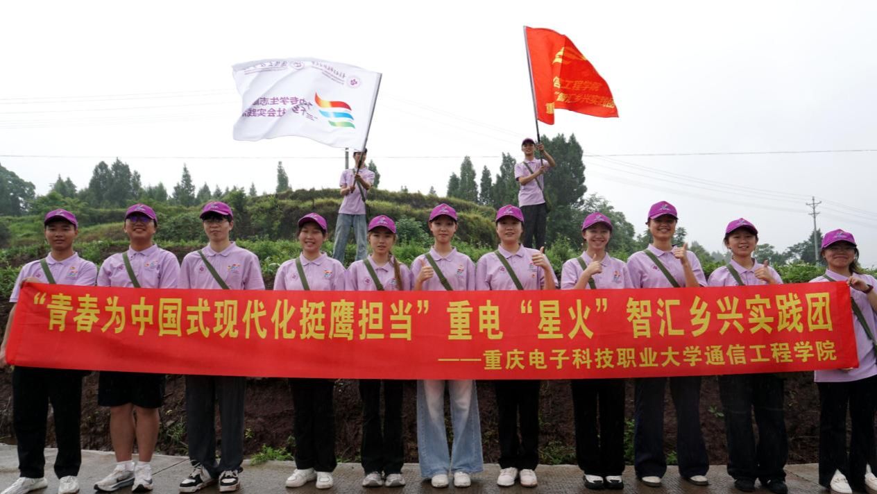 实践团成员体验摘成熟西瓜